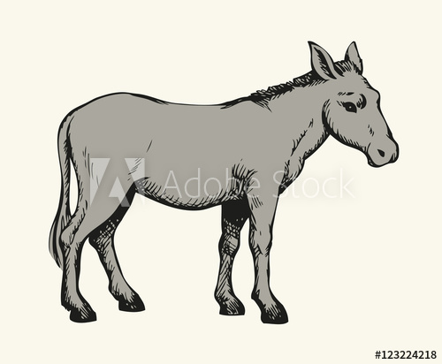 500x412 Donkey Vector Drawing