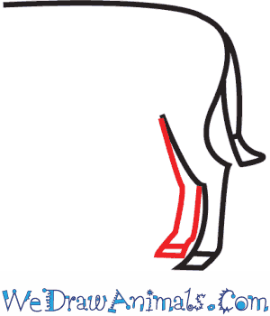 300x350 How To Draw A Donkey