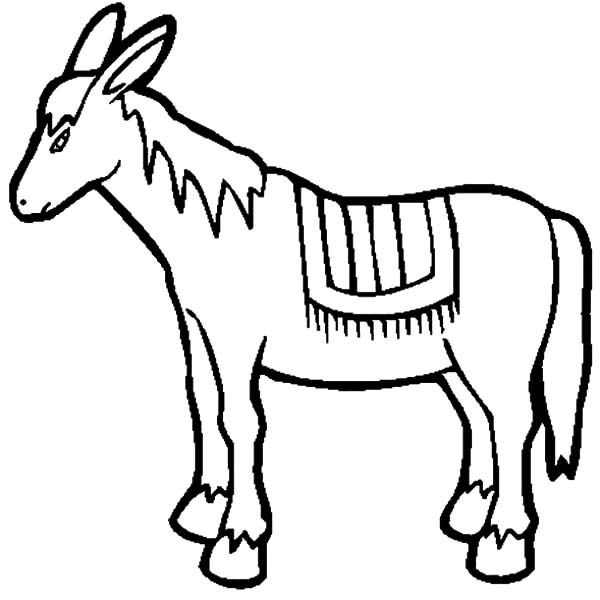 600x600 Drawing Mexican Donkey Coloring Pages Color Luna