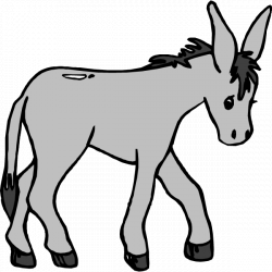 250x250 Drawing Donkey Cartoon, Picture