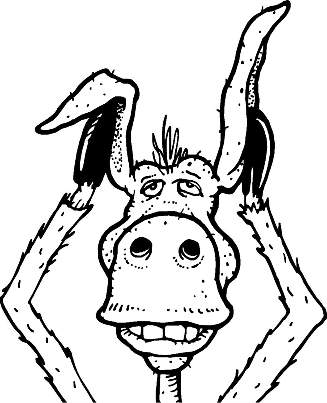 1050x1294 Donkey Face Coloring