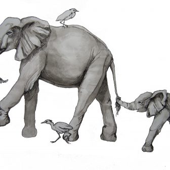 336x336 Mama And Baby Elephant Drawing Images Face Mom Clip Art Step