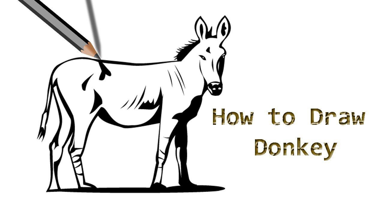 1280x720 Donkey Drawing How To Draw Easy Drawing St Easy Drawings