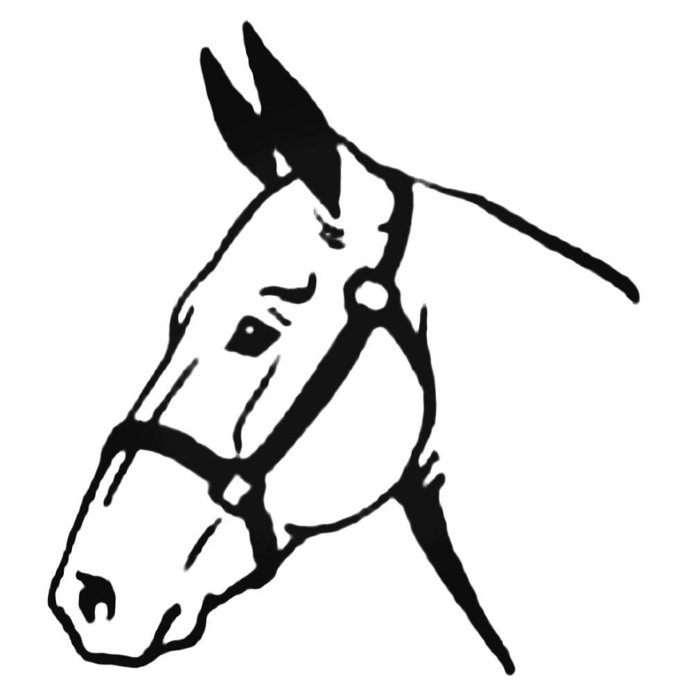 1000x1000 Donkey Head Decal Sticker