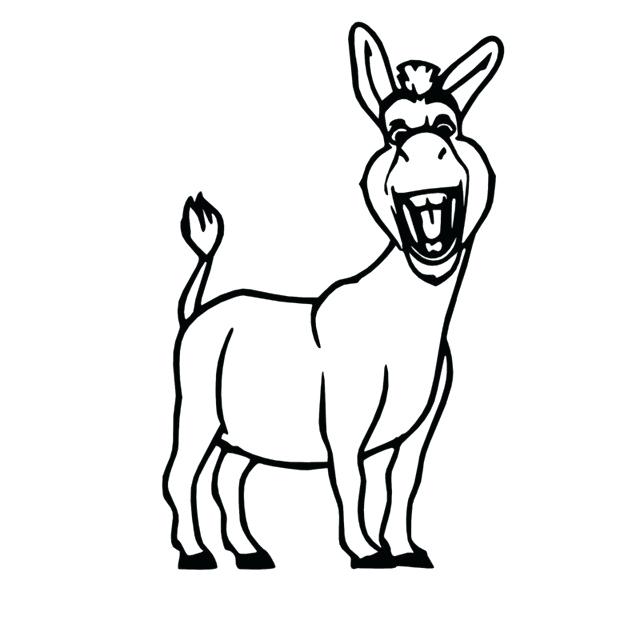 640x640 How To Draw Donkey From Shrek Step
