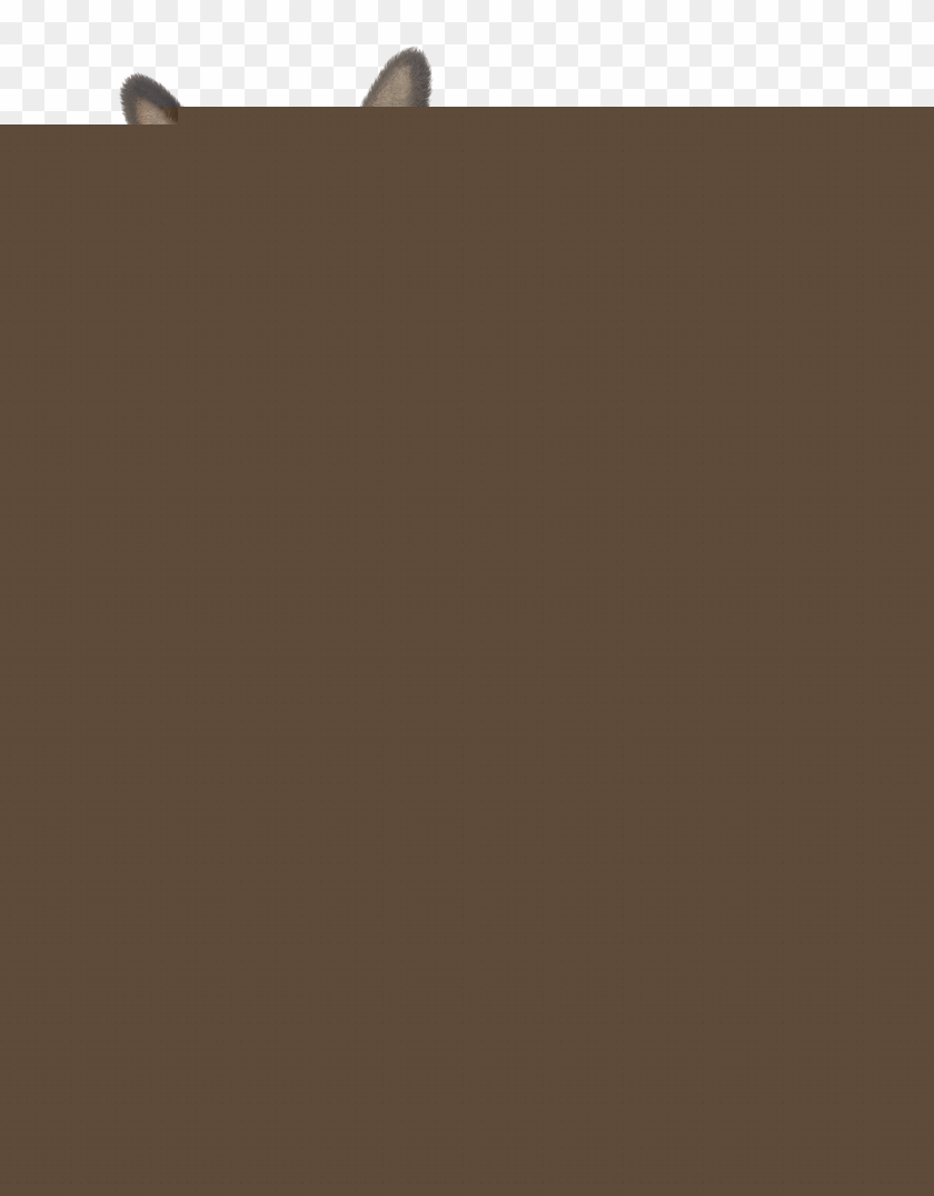 840x1076 Donkey Free Png Transparent Background Images Free