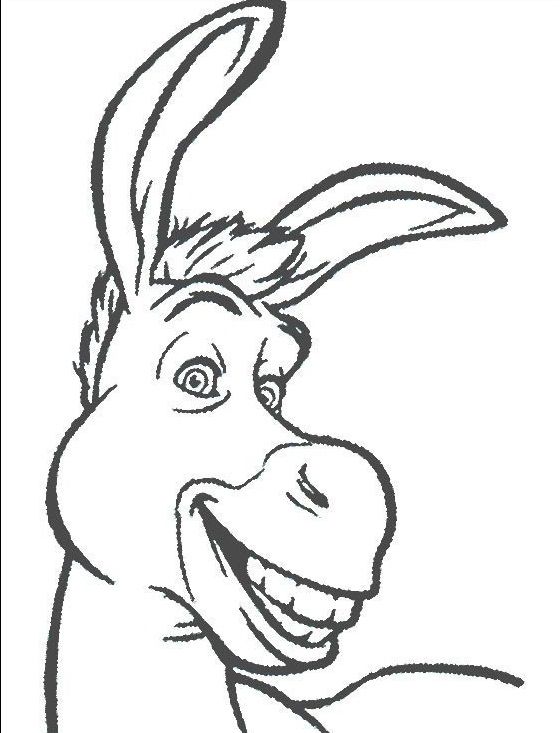 560x733 Smiling Donkeys Width Toys Shrek, Donkey Drawing, Coloring Pages