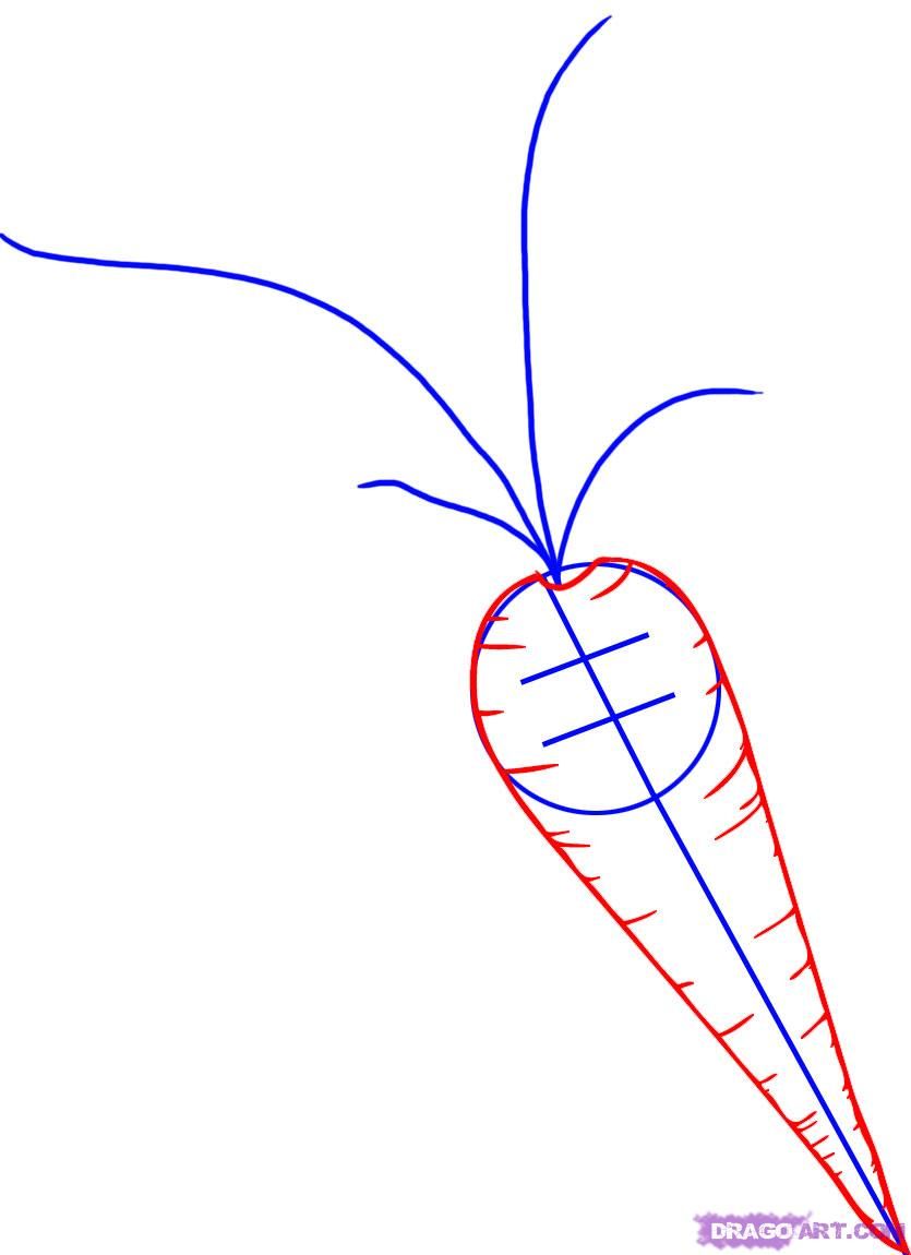 835x1150 How To Draw A Carrot Paper Pen Drawings, Online Drawing