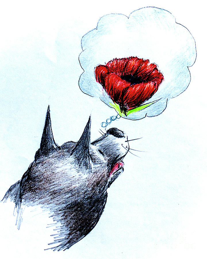 720x900 Not Forgotten Drawing