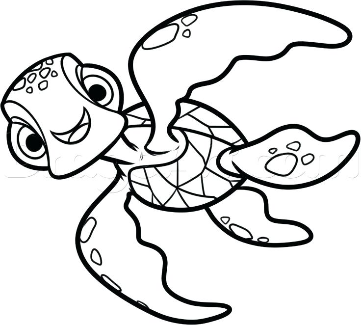 736x662 finding nemo drawing how to draw squirt from finding dory step