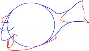 302x174 How To Draw How To Draw Dory From Finding Nemo