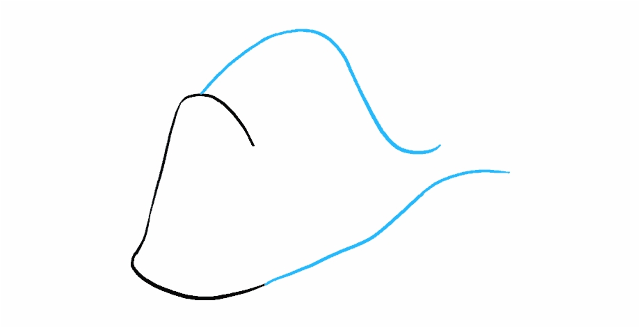 920x471 How To Draw Dory