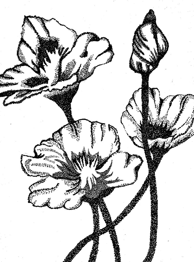 794x1074 Note Cards Original Art Dot Drawing Cards Folded Note Etsy