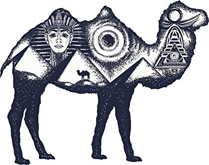 425x335 Magnet Cool Egyptian Desert Adventure Dot Art Camel