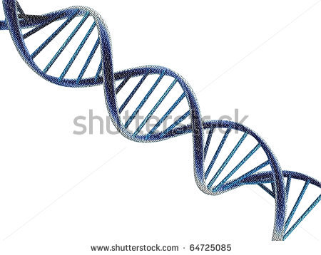 450x358 Dna Double Helix Clip Art