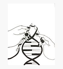 210x230 Double Helix Drawing Photographic Prints Redbubble