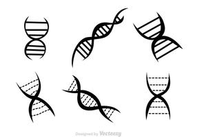 286x200 Double Helix Free Vector Art