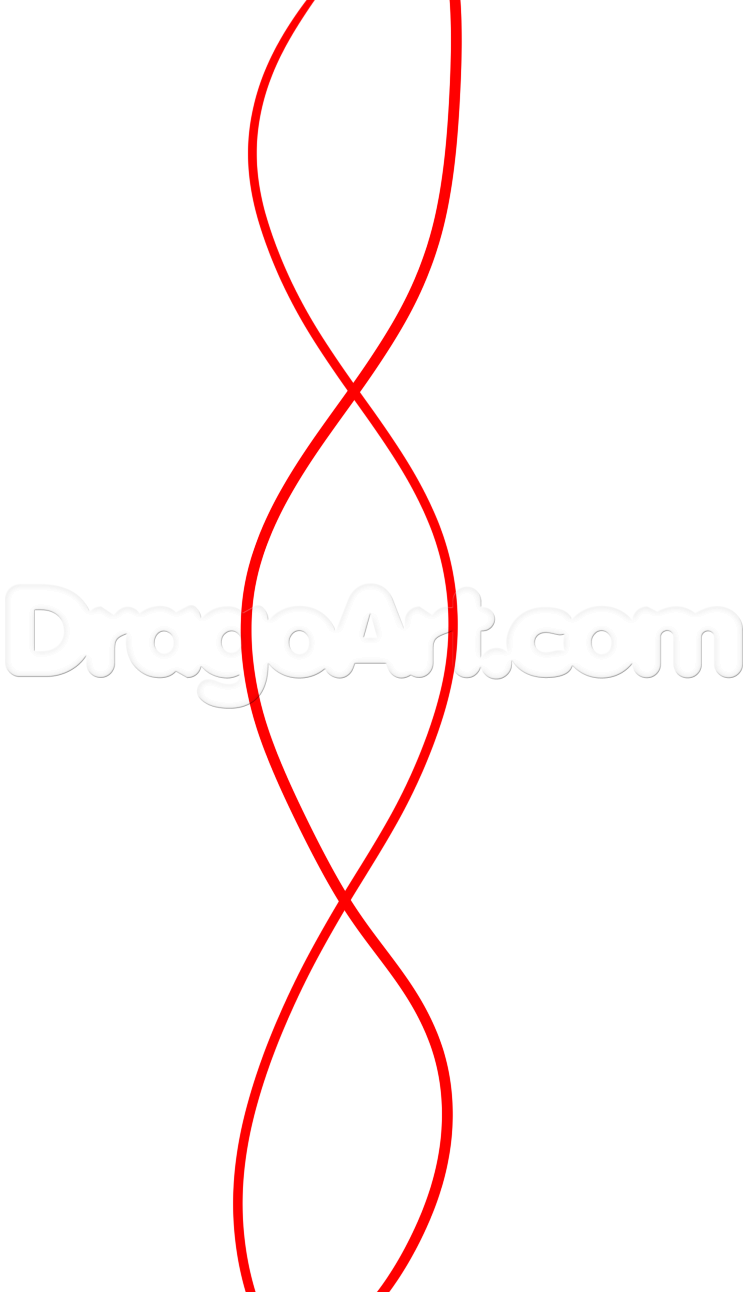 748x1292 How To Draw Dna, Step