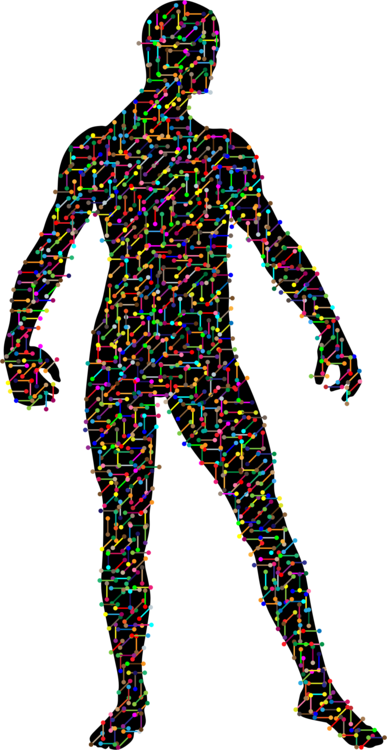387x750 Molecular Biology Drawing Silhouette Molecular Models Of Dna