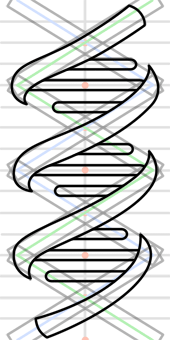 170x340 dna sequencing step