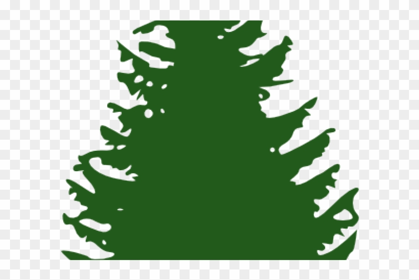 840x561 fir tree clipart redwood, hd png download