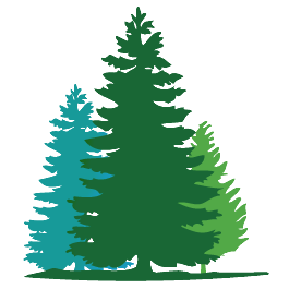 265x265 Fir Tree Wall Decals Campout Nursery Tree Wall, Tree Stencil