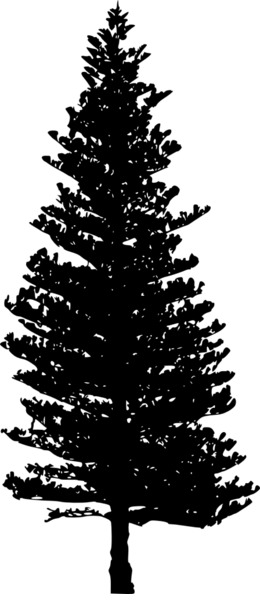 260x600 Tree, Leaf, Transparent Png Image Clipart Free Download