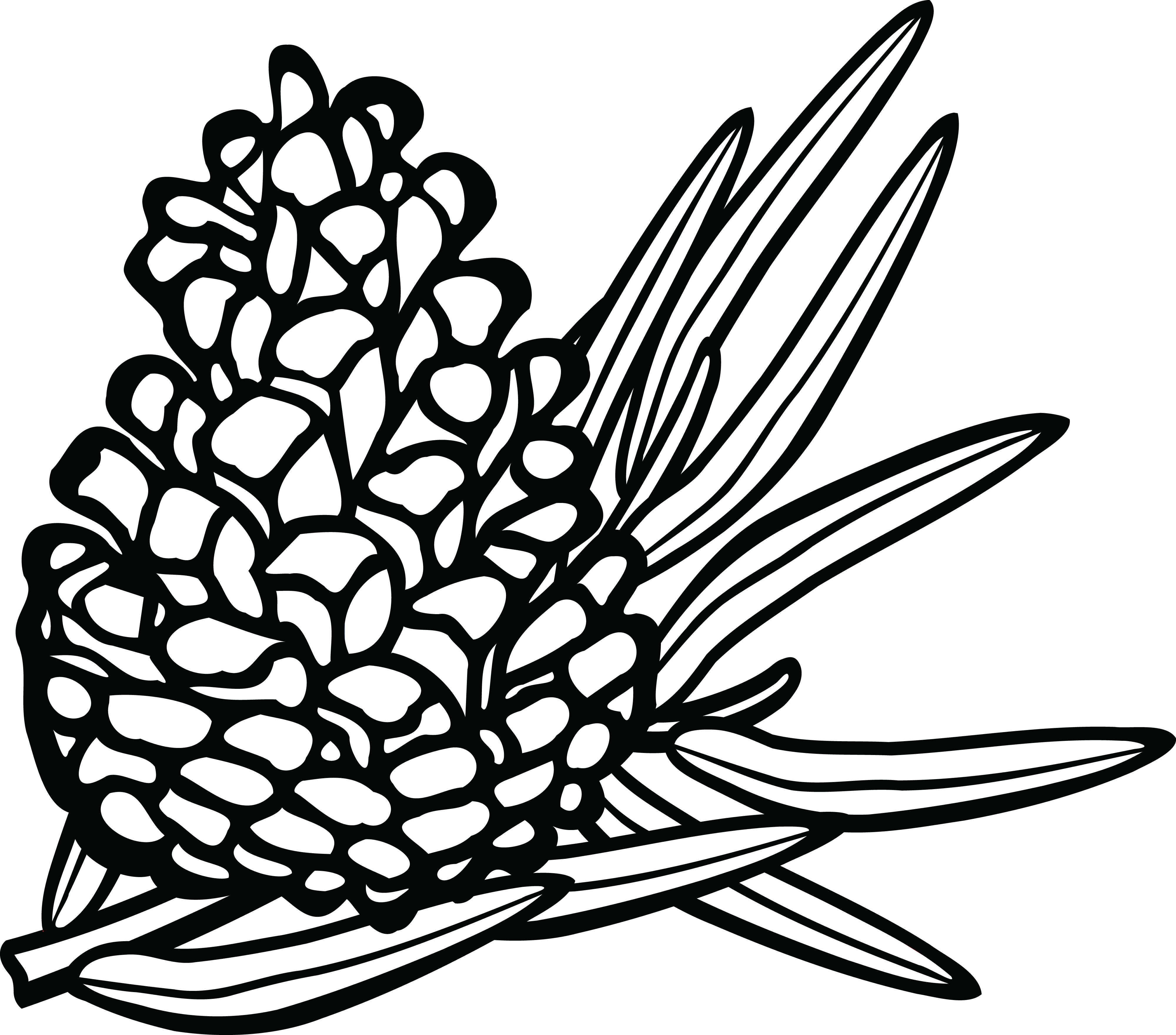 4000x3519 collection of free pinecone drawing line download on ui ex