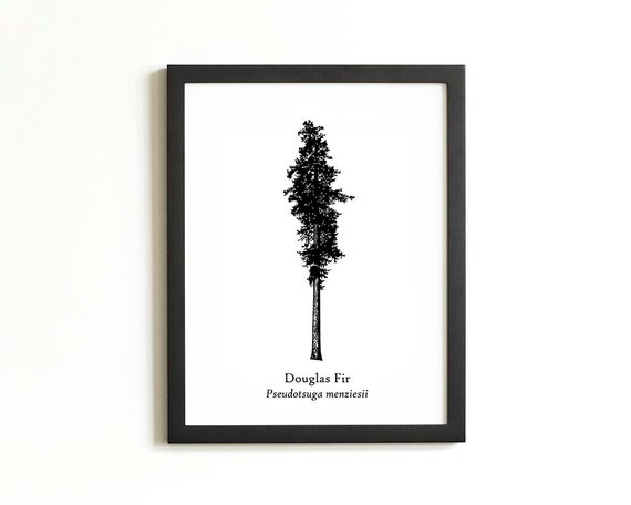 570x456 Douglas Fir Tree Silhouette Print Rustic Wall Art Woodland Etsy