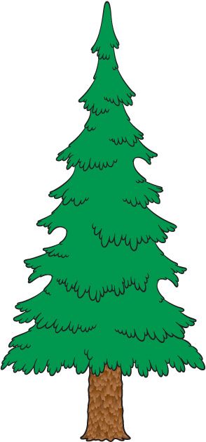 294x629 Evergreen Trees Clipart, Free Download Clipart