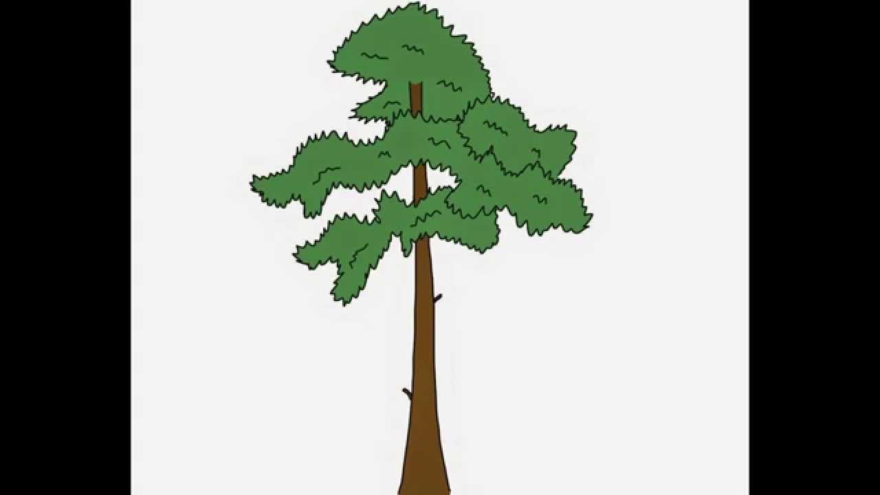 1280x720 Pine Tree How To Draw A Easy Kak Narisovat Prosto Sosna