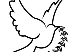 300x210 Dove Bird Drawing How To Draw A Peace Dove In Easy Steps