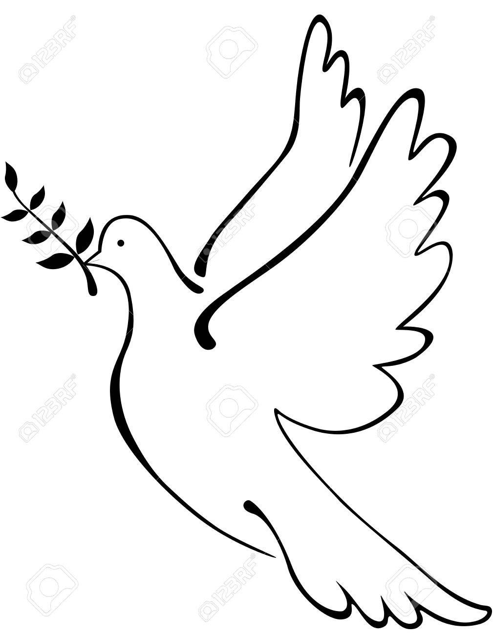 1011x1300 How To Draw A Dove How To Draw A Dove White Pigeon Color Alima Us