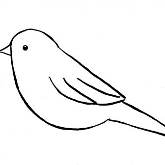 336x336 Kiwi Bird Drawing Step