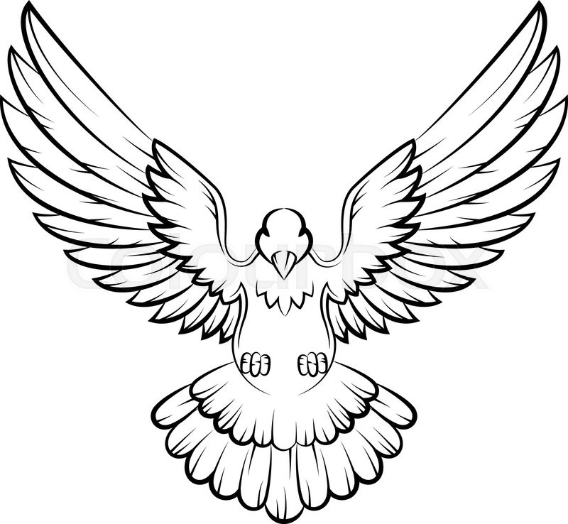 800x738 Vector Illustration Of Cartoon Dove Stock Vector Colourbox