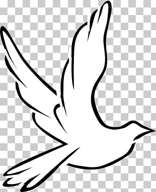 310x382 European Turtle Dove Png Cliparts For Free Download Uihere