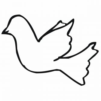 336x336 Bird Drawing Step