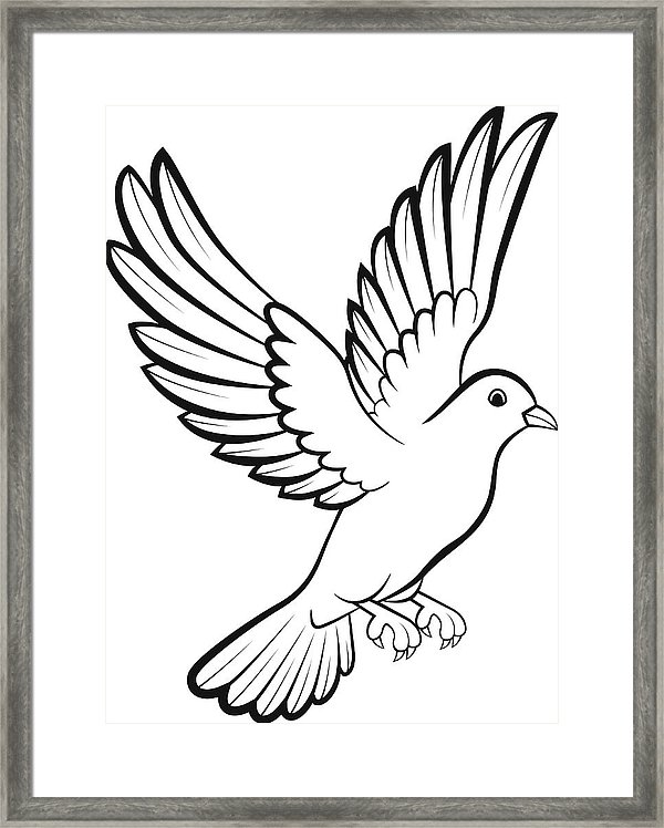 600x748 Dove To Print