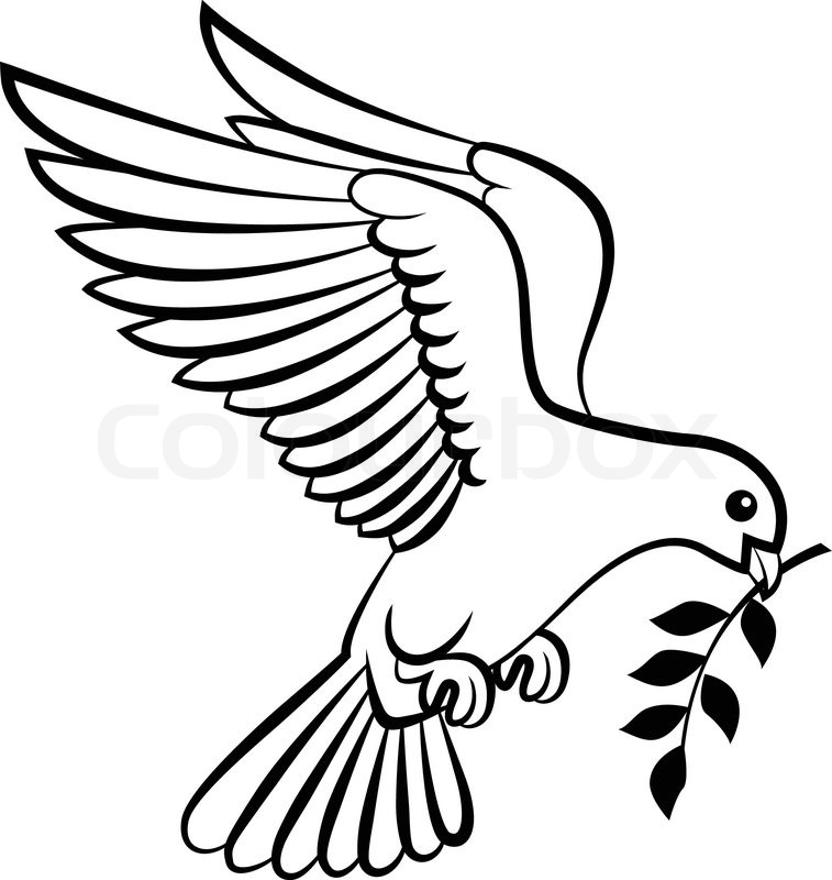 757x800 Vector Illustration Of Cartoon Dove Stock Vector Colourbox
