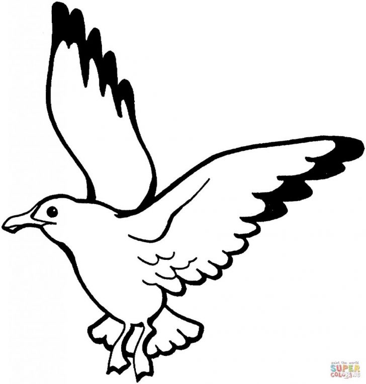 728x764 Bird Drawing Outline Dove Line Simple Sketch Canary Hummingbird