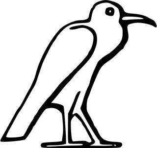 320x302 Dove Pictures Clip Art Bird Drawing Free