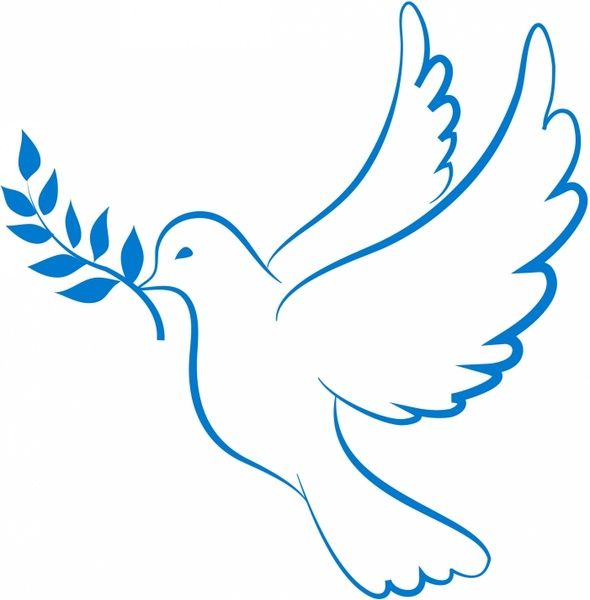 590x600 Dove Of Peace Free Vector In Adobe Illustrator