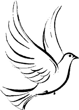 260x360 Dove Transparent Png Images Cliparts