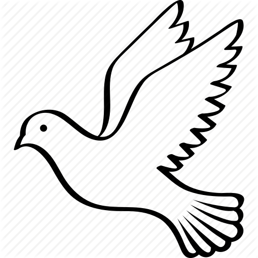 512x512 download dove drawing clipart pigeons and doves doves as symbols