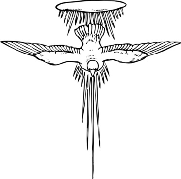 373x368 Free Download Of Holy Spirit Dove Outline Free Vector Download