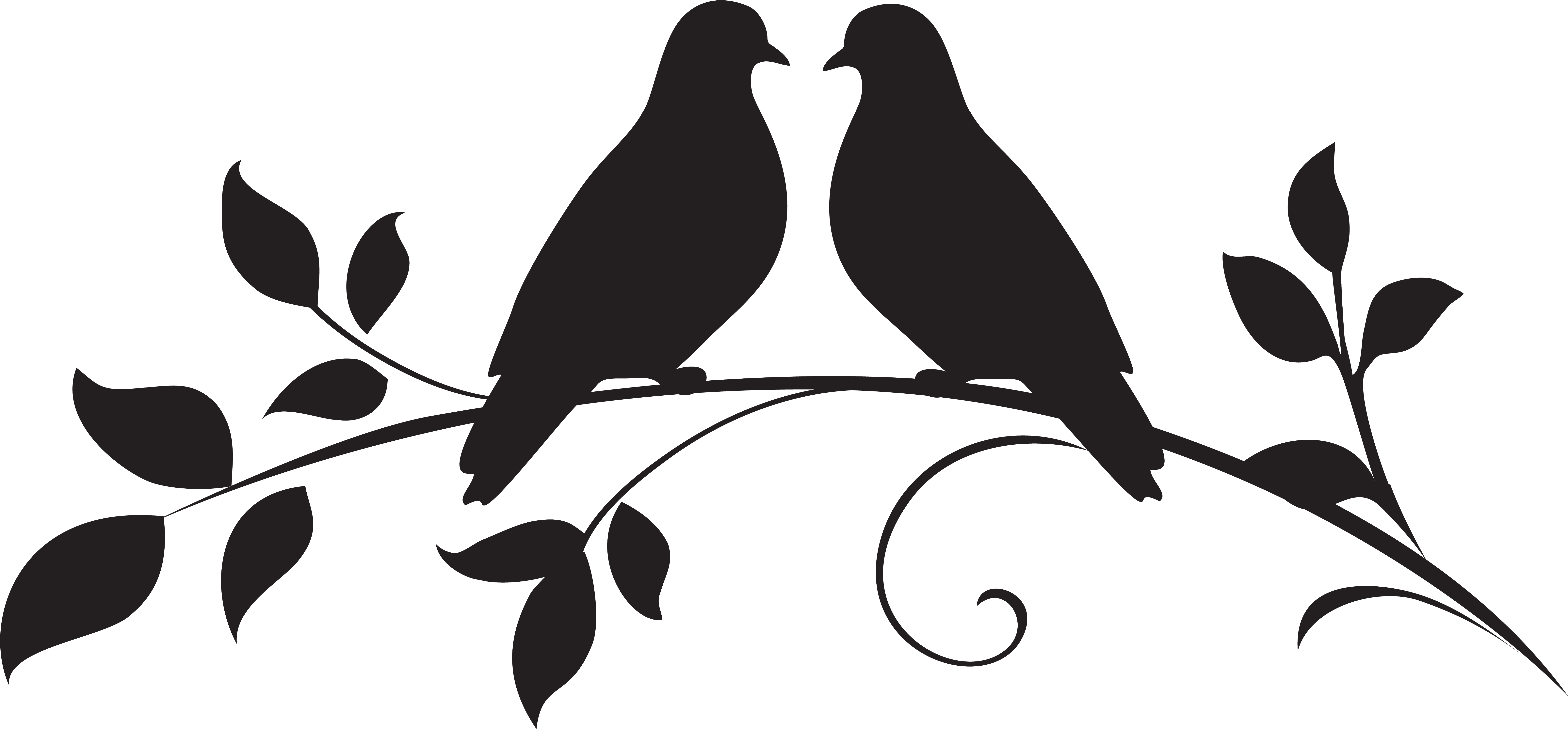 7937x3691 Hd Dove Clipart Silhouette