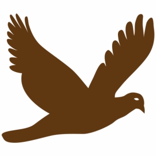 320x320 Hd Vector Doves In Flight