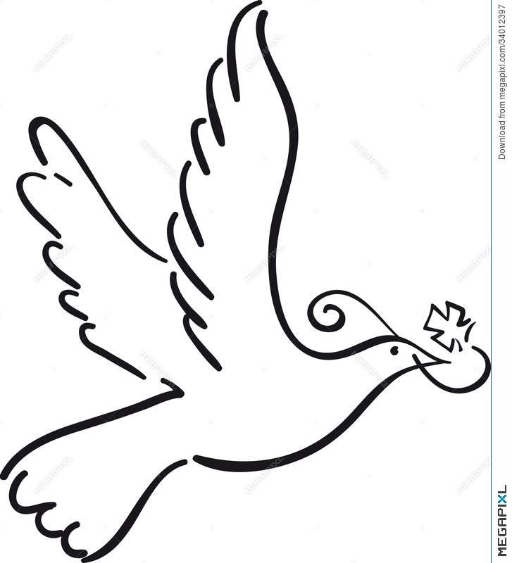 727x800 Simple Dove Illustration
