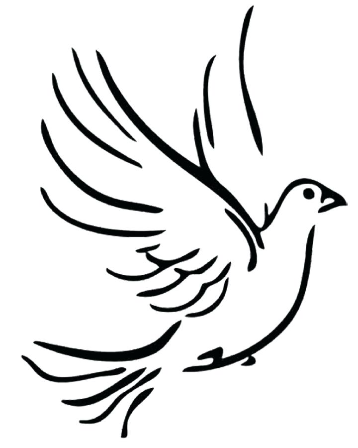720x900 Draw A Dove