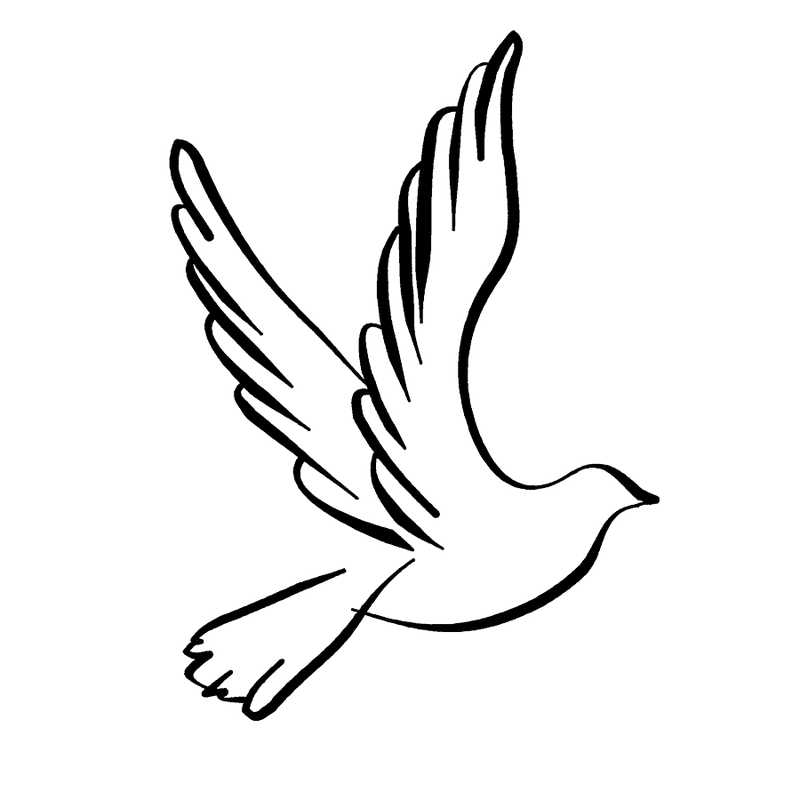 Dove Drawing Outline | Free download on ClipArtMag